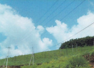 v[ qu